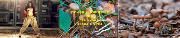 синтетический гашиш Нея