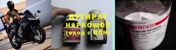 прущие грибы Новодвинск