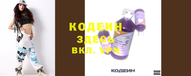 прущие грибы Новодвинск